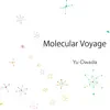 Yu Owada - Molecular Voyage